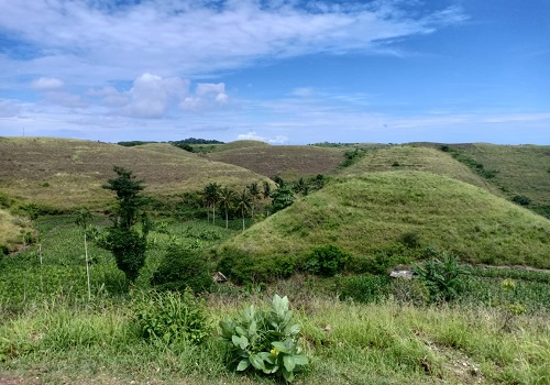 Paket Bali Nusa Penida Timur Tour | Bukit Telletubies