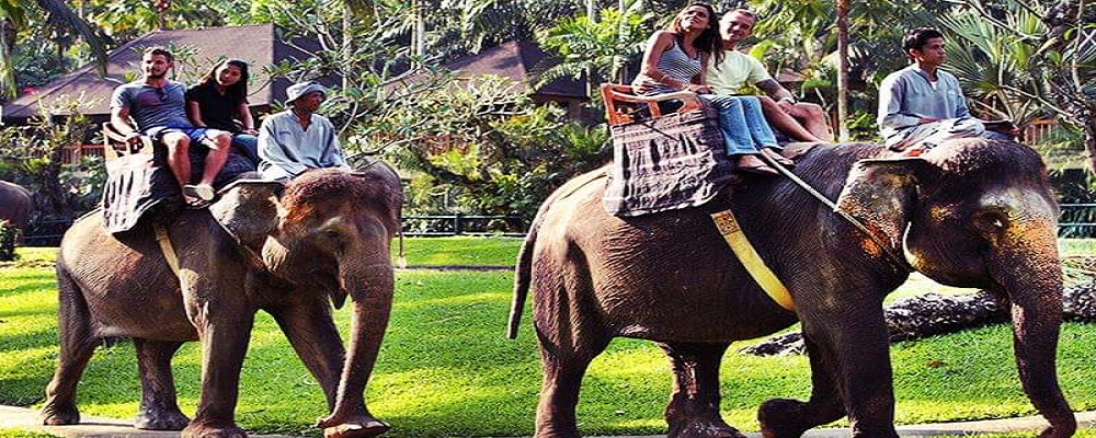 Paket Bali Petualangan Tour | Wisata Elephant Ride