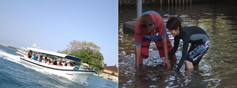 Water Sports | Glass Bottom Boat dan Turtle Islands